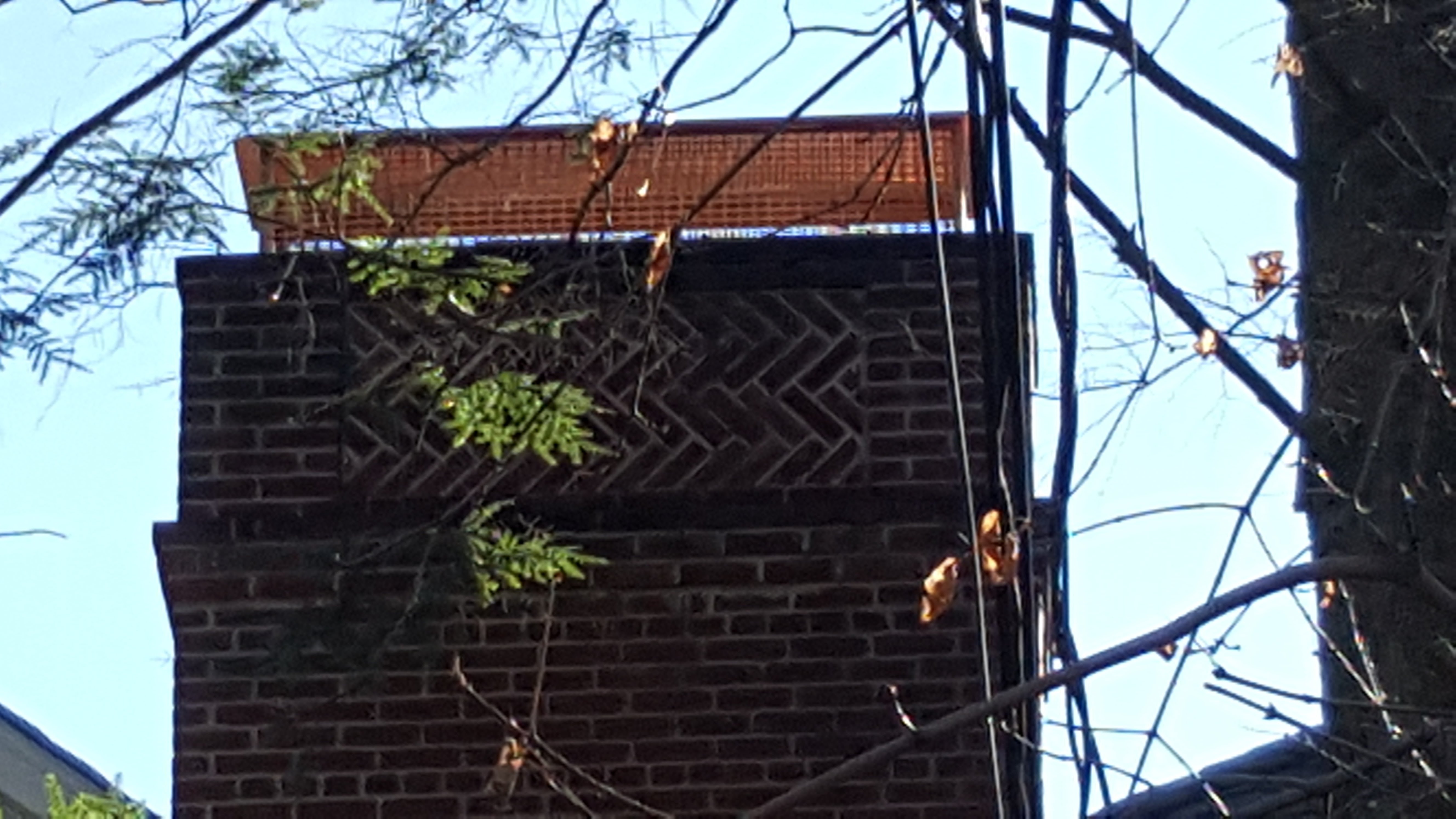 Animal-proof chimney cap protecting home in Hampton Bays, New York